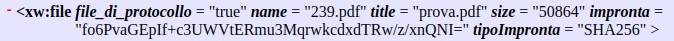 xmlfilediprotocollo.jpg xmlfilediprotocollo.jpg
