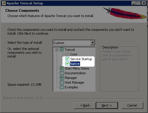  Selezionare Service e Native nelle componenti di installazione.