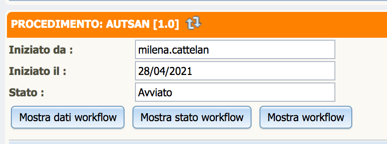 Pulsante Mostra dati workflow