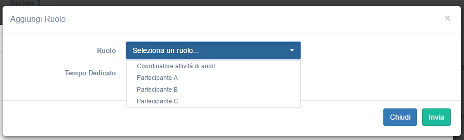 Ruoli Audit clinico e/o assistenziale