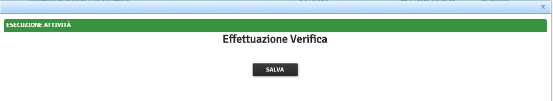 Effettuazione verifica