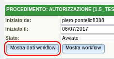 Pulsante Mostra dati workflow