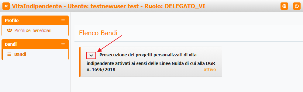 Visualizzazione dettagli bando