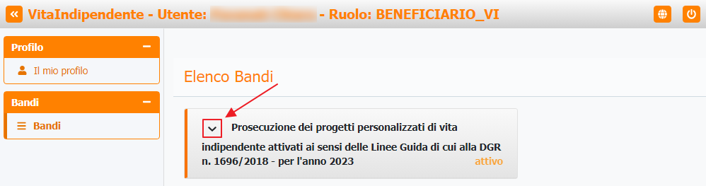 Visualizzazione dettagli bando beneficiario Visualizzazione dettagli bando beneficiario
