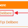 voce_delibere.png