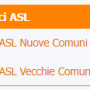 sezione_codici_asl.png
