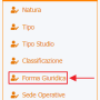 voce_forma_giuridica.png
