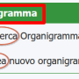 organigramma.png
